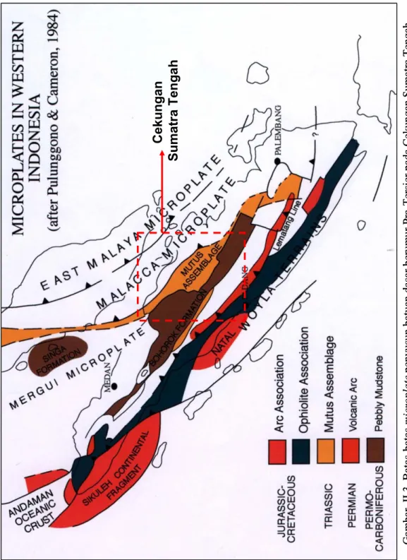 Gambar  II.3. Batas-batas microplatepenyusun batuan dasar berumur Pra-Tersier pada Cekungan Sumatra Tengah (dimodifikasi dari Pulunggono dan Cameron, 1984)