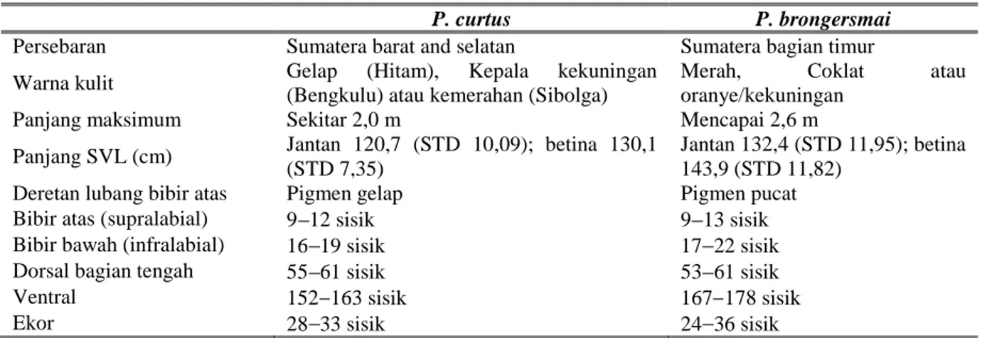 Tabel 3. Beberapa ciri morfologi dari dua jenis sanca gendang. 