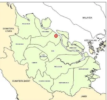 Gambar 2.  Jumlah spesies tanaman pekarangan yang dijumpai menurut kelompok kegunaannya: (A)  tanaman hias; (B) tanaman penghasil buah; (C) tanaman penghasil sayuran; (D) tanaman peneduh; (E) tanaman obat; (F) tanaman penghasil bumbu; dan (G) tanaman pengh