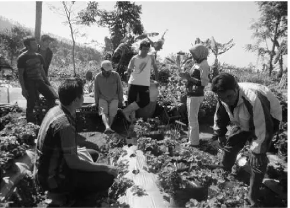 Gambar 2. Kegiatan diskusi dan pelatihan on site yang dilakukan oleh mahasiswa. Petani sekaligus belajar mengidentifkasi masalah mereka