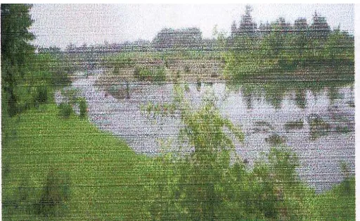 Gambar 2.4 : Kondisi Sungai Sengkarang  