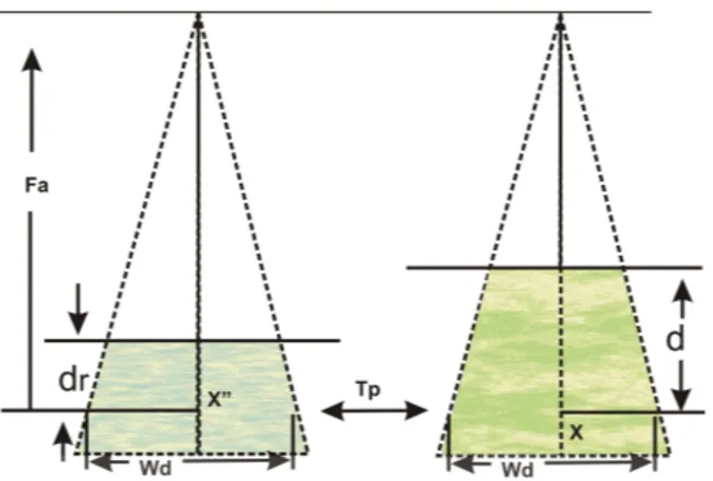 Gambar 2.4 Ilustrasi tisue phantom ratio berguna untuk perhitungan dosis serap 