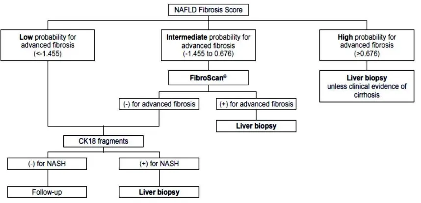 Gambar 7. Algoritma pengambilan keputusan untuk biopsi dengan Skor NAFLD Fibrosis 12,13 