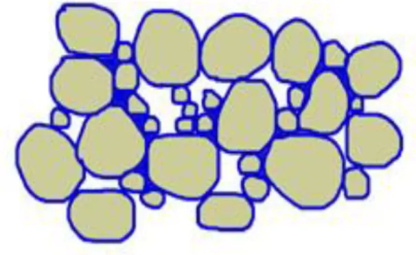 Figure 3.  The size of pore spaces between soil  particles plays a key role in plant growth