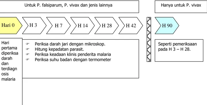 Gambar 28. Prosedur penanganan lanjutan penderita malaria 