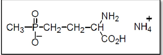 Gambar 2. Struktur Kimia Amonium Glufosinat  Sumber: European Commission Peer Review Programme , (2002)