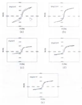 Gambar 4. Kurva loop histeresis sistem multilapisan 