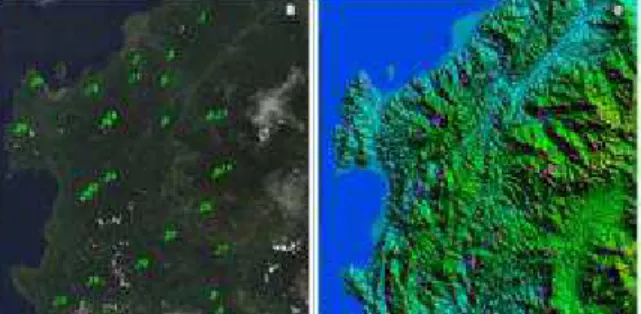Gambar  6.  Sebaran  GCP  pada  citra  Landsat-8  (kiri)  dan  SRTM-DEM  (kanan)  yang  mewakili  luasan  area  citra yang akan dikoreksi/diverifikasi.