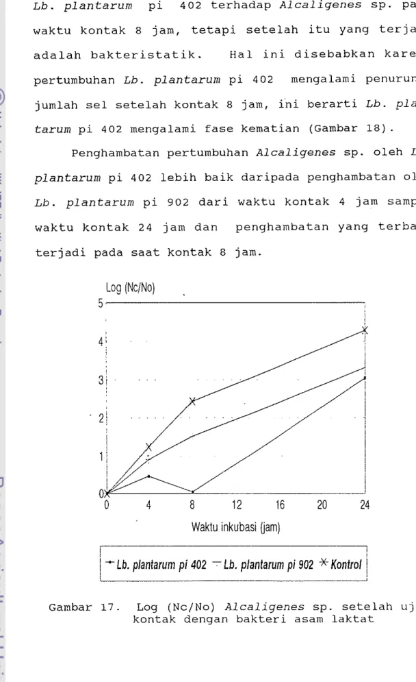 Gambar  17.  Log  (Nc/No)  Alcaligenes  sp.  setelah  uji  kontak  dengan  bakteri  asam  laktat 