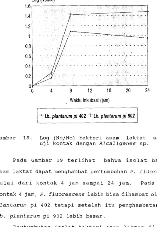 Gambar  18.  Log  (Nc/No)  bakteri  asam  laktat  setelah  uji  kontak  dengan  Alcaligenes  sp