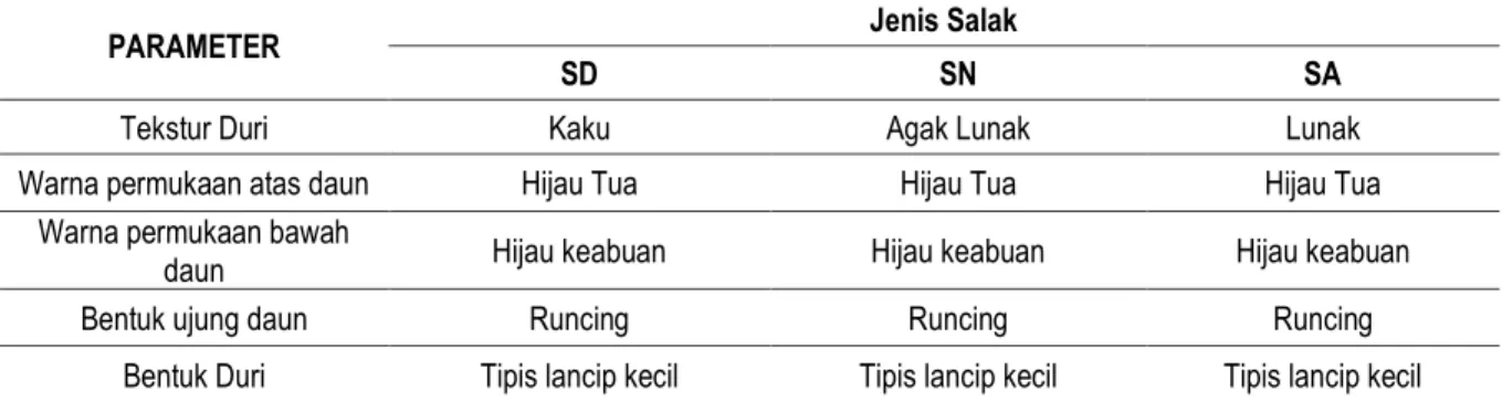 Tabel  2.  Data  Kualitaif  Morfologi  Vegetatif  Salak  di  desa  Kepuhdoko  kecamatan  Tembelang  kabupaten  Jombang 