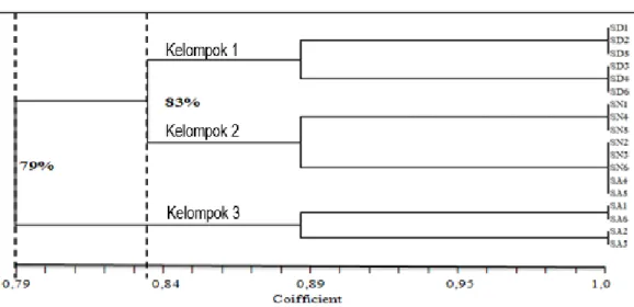 Gambar 1. Dendogram 18 pohon salak (Salacca zalacca) dari 3 jenis salak di desa Kepuhdoko  kecamatan Tembelang kabupaten Jombang 