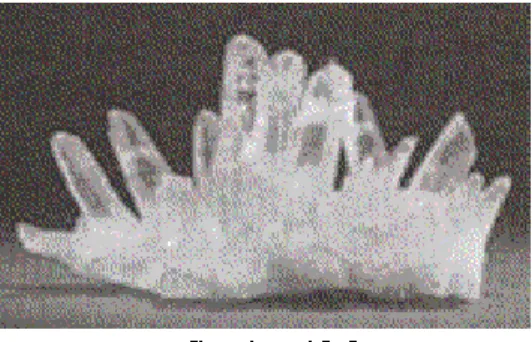Gambar 10.2 menunjukkan beberapa kristal-kristal quartz, yang mana bentuk  alami  kristal  dari  silikon  dioksida  