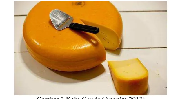 Gambar 3 Keju Gouda (Anonim 2013) 