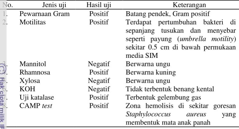 Tabel 1 Interpretasi hasil uji L. monocytogenes 