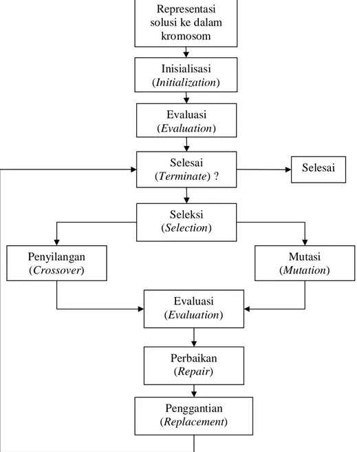 Gambar 7. Diagram  alir algoritma  genetika (Wang, 1999)Representasisolusi ke dalamkromosomInisialisasi(Initialization)Evaluasi(Evaluation)Selesai(Terminate) ?Seleksi(Selection) SelesaiPenyilangan(Crossover)Mutasi(Mutation)Evaluasi(Evaluation)Perbaikan(Rep