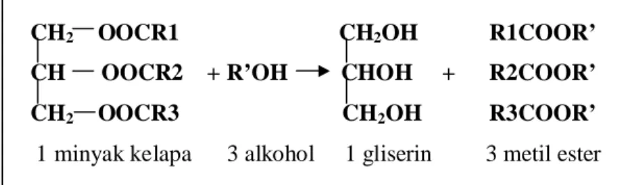 Gambar 13. Reaksi transesterifikasi cocodiesel (Hamilton, 2004) Diagram alir pengolahan cocodiesel dapat dilihat pada Gambar 14.