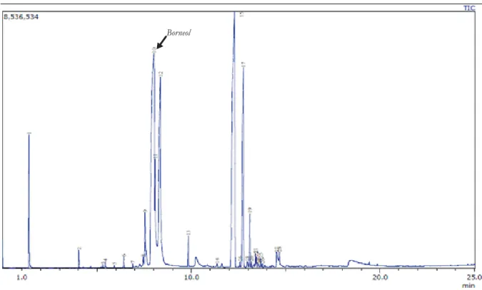 Gambar 4. Kromatogram minyak