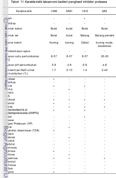 Tabel  11 Karakteristik taksonomi bakteri penghasil inhibitor protease