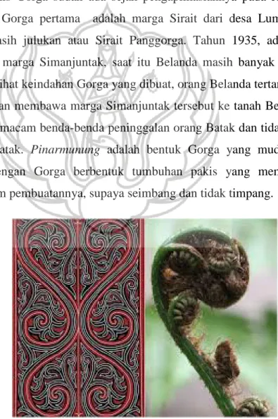 Gambar 28. Sumber visual Gorga dari tumbuhan pakis. 