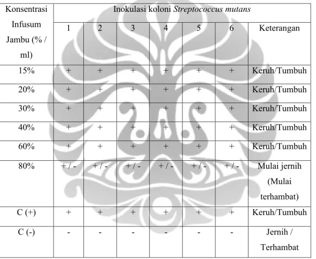 Tabel 5.1.  Hasil Tes Metode Serial dilusi infusum Jambu air Semarang  terhadap S.mutans 