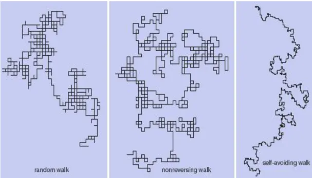 Gambar 2.5. contoh Random Walk. 