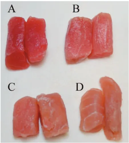 Fig. 1.  Appearance of the tuna meat slice of each grade. A, excel-lent; B, good; C, acceptable; D, “not acceptable”