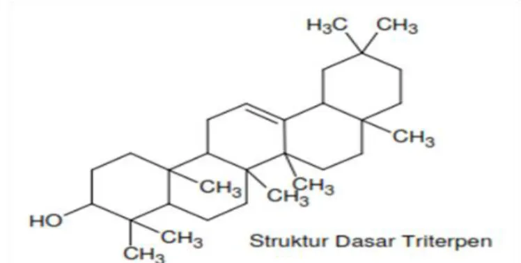 Gambar II.2. Struktur kimia saponin 