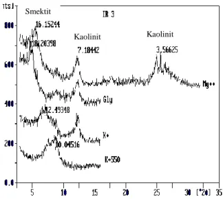 Gambar  3.  Kurva  analisis  sinar  -  X  fraksi  liat  pedon IR3/Bt 1  (semak) 