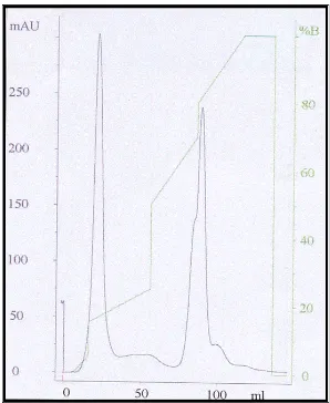 Gambar 4.  Pemurnian cairan selom dengan kolom DEAE-sefarosa. 