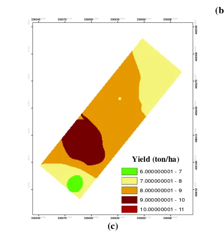 Fig 3. Kriged yield maps (ton/ha): (a) instantaneous yield, (b) average instantaneous yield and (c) estimated yield at lot 15466_2