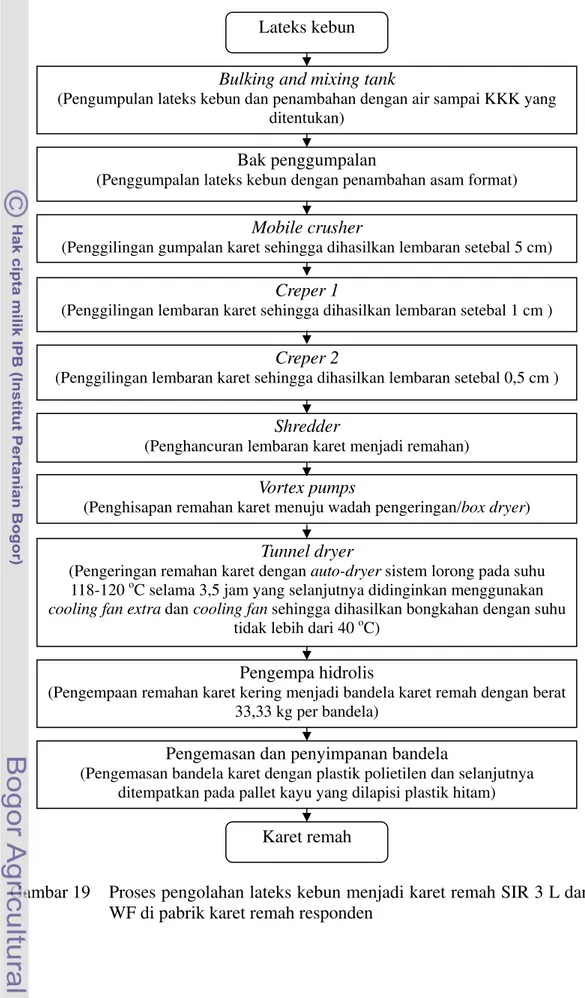Gambar 19  Proses pengolahan lateks kebun menjadi karet remah SIR 3 L dan 3  WF di pabrik karet remah responden 