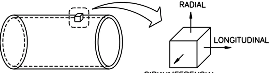 Gambar 1.9 Arah tegangan yang terjadi pada pipa  Referensi : Analisa Tegangan pada Sistem Perpipaan - REDS 