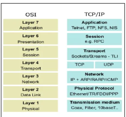 Gambar 2.1 Model OSI dan TCP/IP  2.1.4.  Topologi Jaringan 