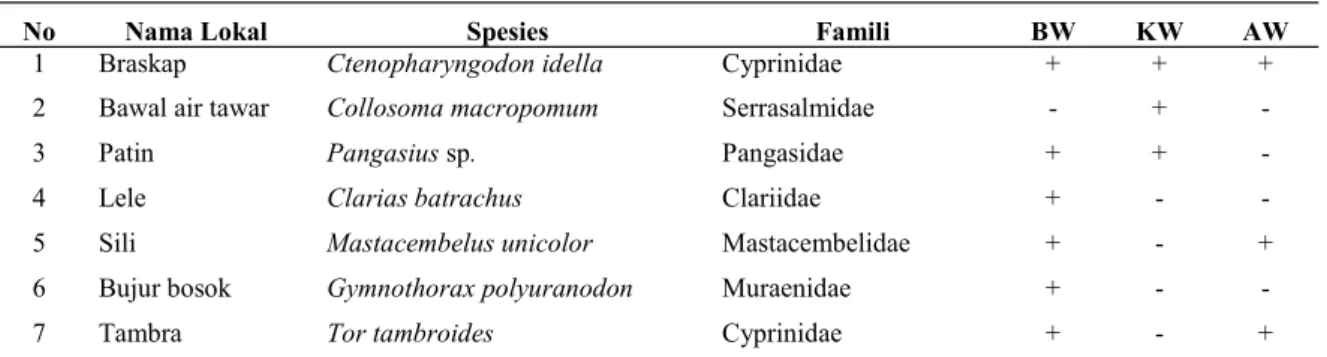 Tabel 3. Jenis-jenis ikan yang tercatat di lokasi penelitian 