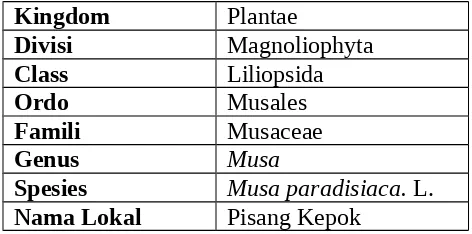 Tabel 4. Morfologi Pisang Kepok