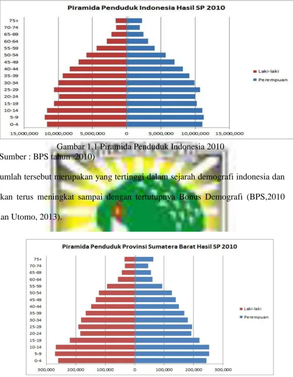 Gambar 1.1 Piramida Penduduk Indonesia 2010  (Sumber : BPS tahun  2010) 