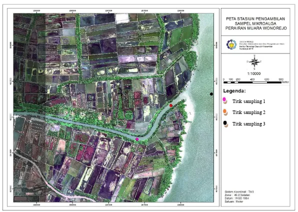 Gambar 1. peta lokasi pengambilan sampel mikroalga di muara Wonorejo.  
