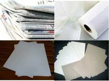 Gambar 5  Bentuk Visual Kertas 