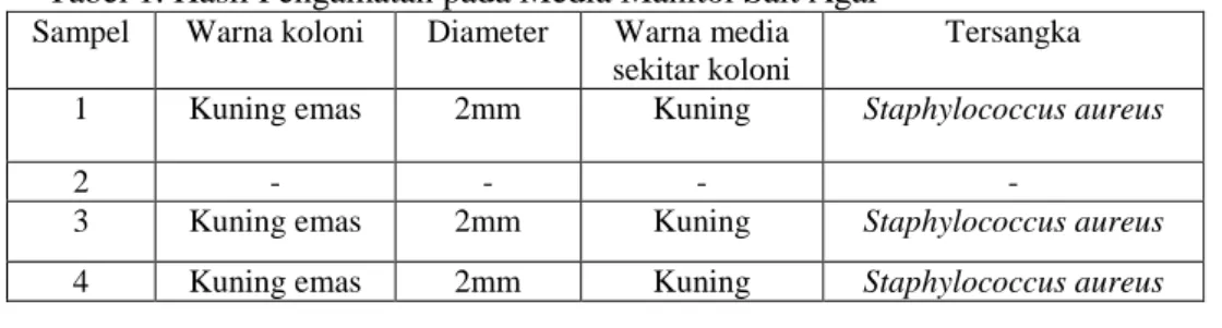 Tabel 1. Hasil Pengamatan pada Media Manitol Salt Agar  Sampel  Warna koloni  Diameter  Warna media 