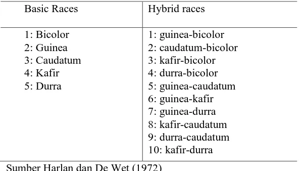 Tabel 1. Klasifikasi ras dasar dan ras hibrida sorgum budidaya 