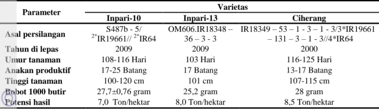 Tabel  1.    Deskripsi  tanaman  padi  varietas  Inpari-10,  Inpari-13  dan  Ciherang  (Suprihatno  et  al