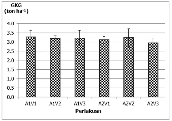 Tabel 1. Hasil dan komponen hasil dari perlakuan air dan varietas padiGambar 15. Hasil gabah dari perlakuan air dan varietas
