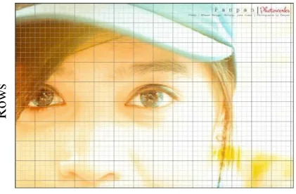 Gambar 1 Contoh citra digital