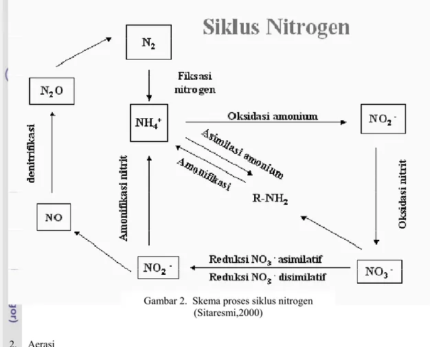 Gambar 2.  Skema proses siklus nitrogen  (Sitaresmi,2000)  