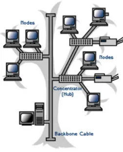 Gambar 2.8 Tree Topology 