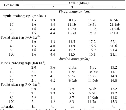 Tabel 3 Tinggi tanaman dan jumlah daun jintan hitam pada berbagai perlakuan     pemupukan pada umur 5, 7, 9, 11 dan 13 MSS 