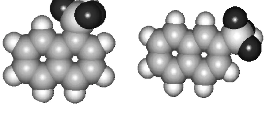Gambar  . Struktur asam 1-naftalensulfonat dan asam 2-naftalenasulfonat 
