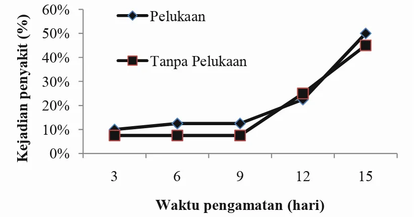 Gambar 2.Grafik kejadian penyakit layu Fusarium pada tanaman tomat. 0%10%20%30%40%50%60%3691215Kejadian penyakit (%)