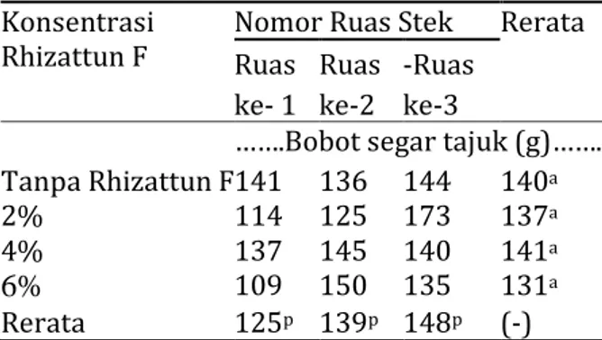 Tabel 4.  Pengaruh nomor ruas stek dan  konsentrasi Rhizattun F terhadap  jumlah daun 